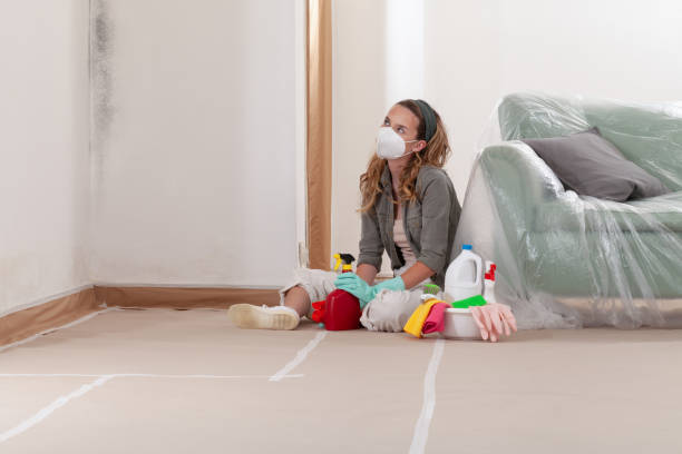 Reliable Mold Cleanup contractor in Scotts, MI by Cheap Mold Removal